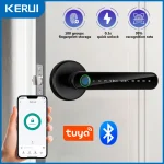 Smart Life Electronic Door Lock with Fingerprint/Password/Key/Tuya APP/Card Unlock